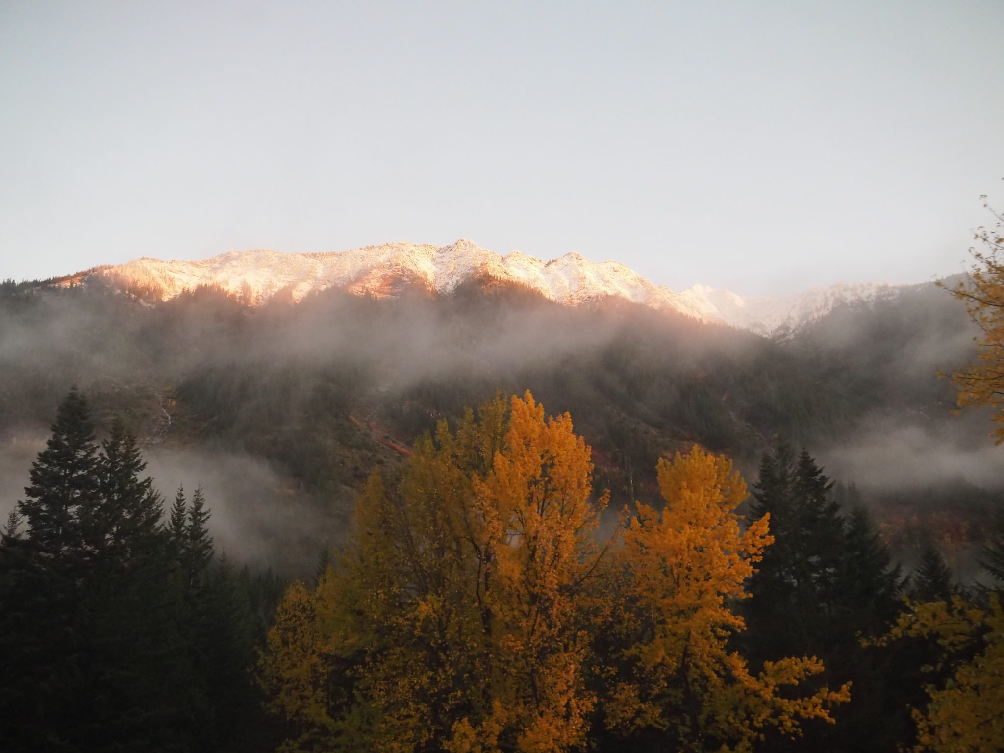 Montana View