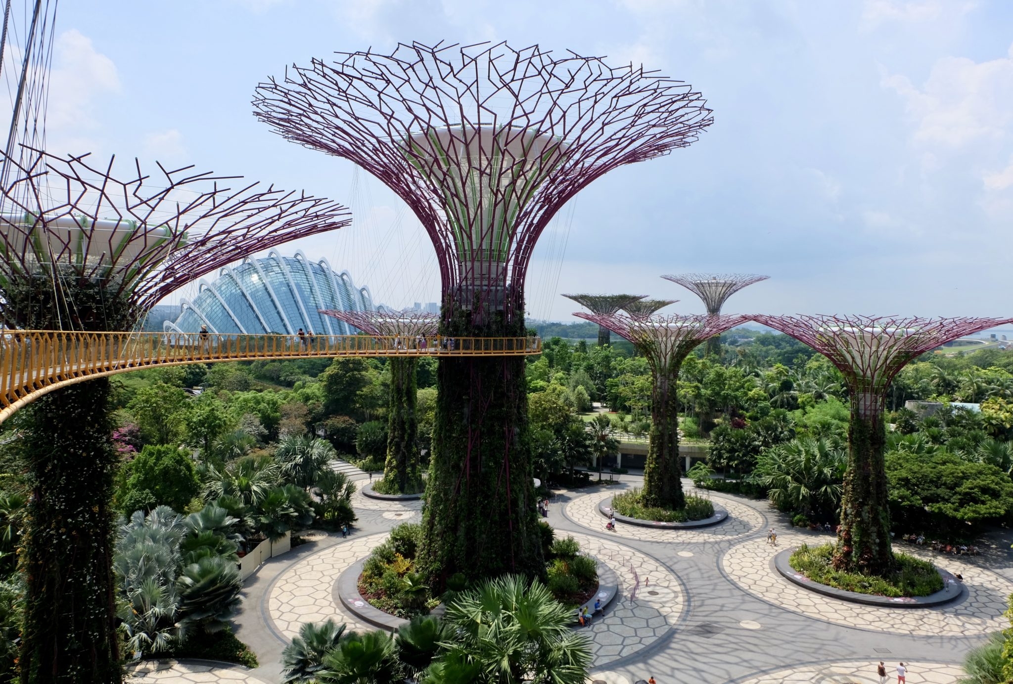 Super Trees Singapore