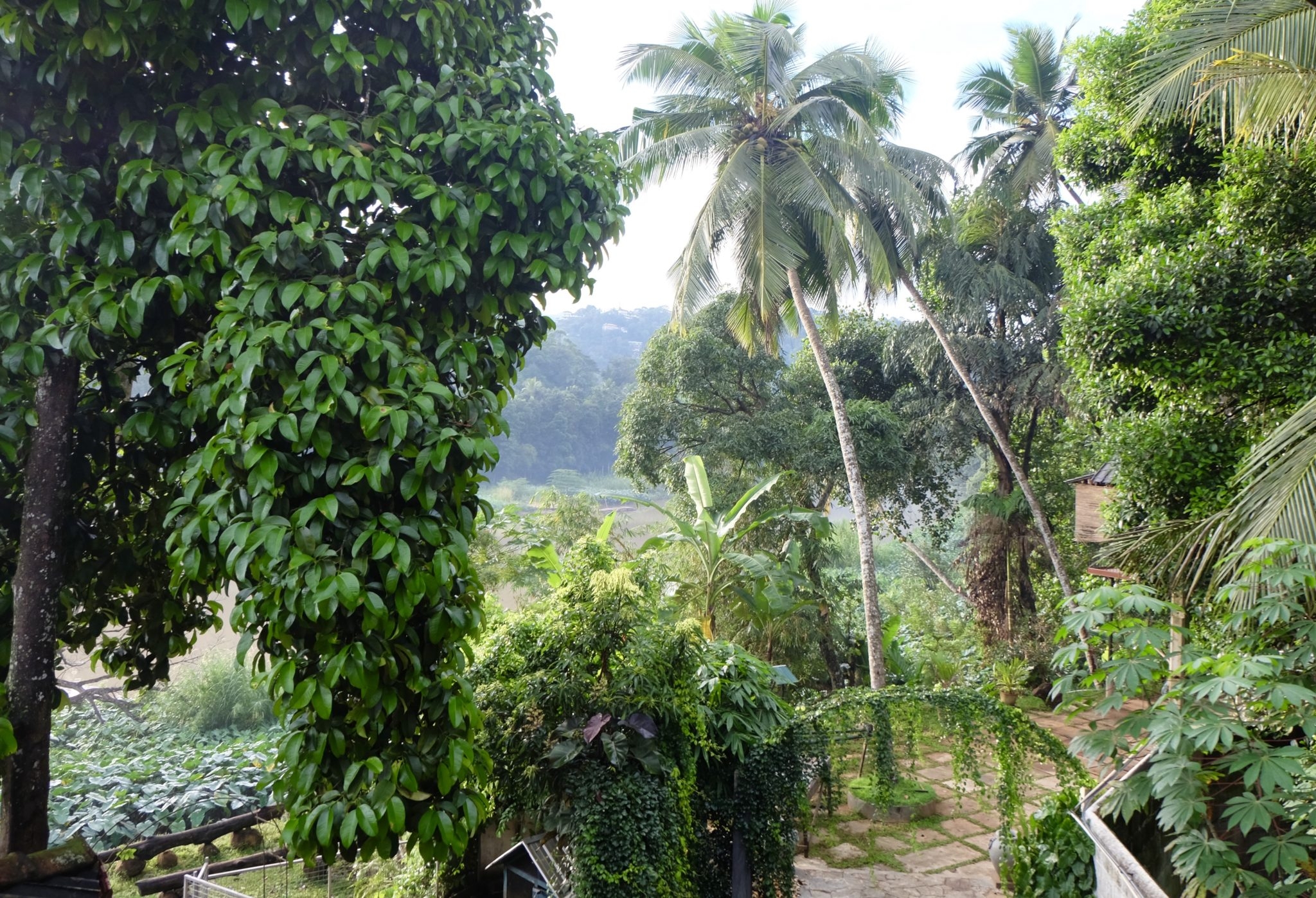 Thotupola Residence Kandy 