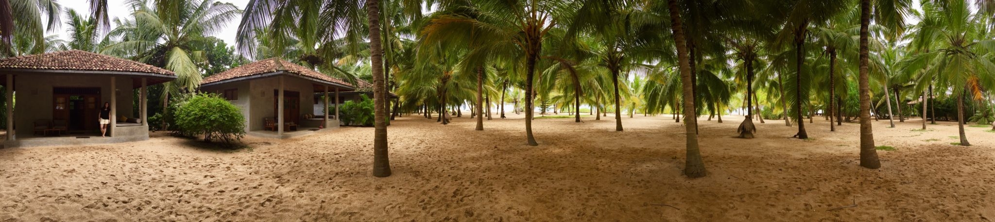 Mangrove Beach Cabanas and Chalets 