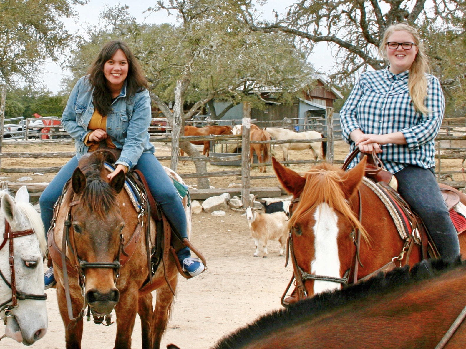 Cowgirl Life