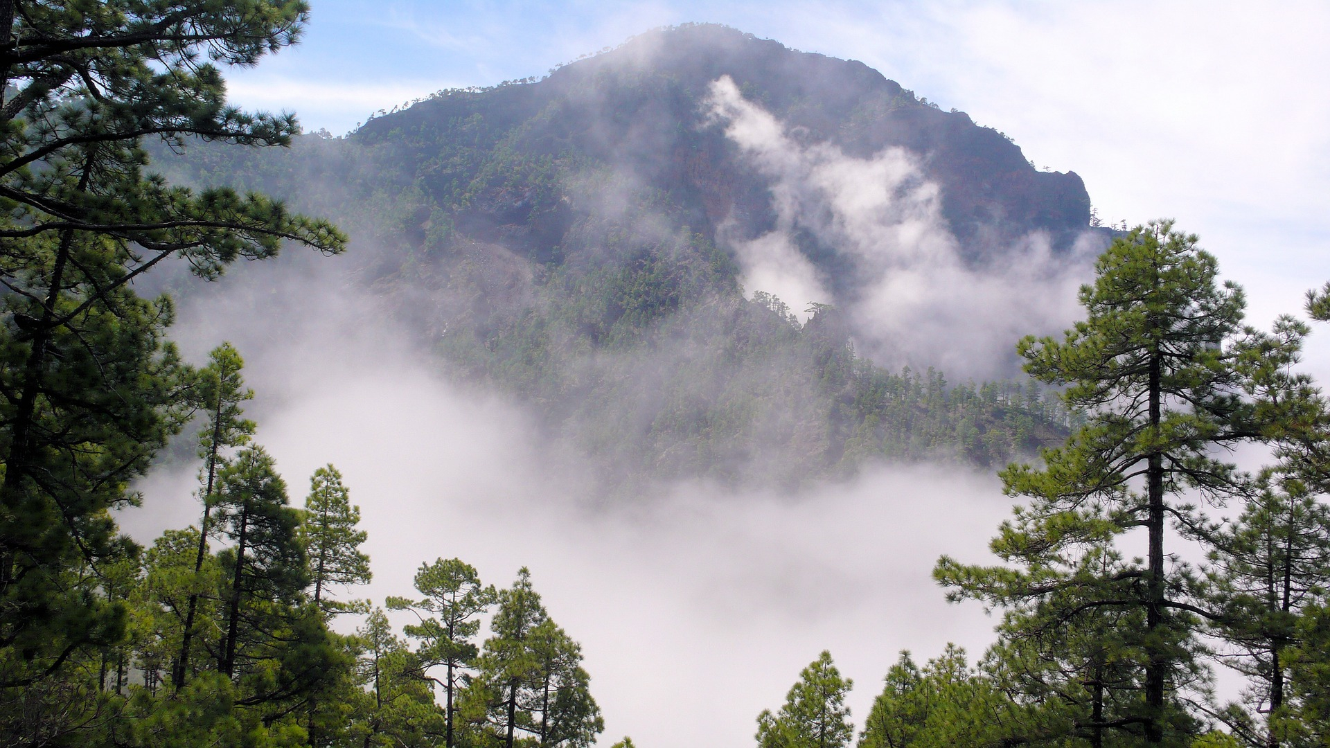 La Palma