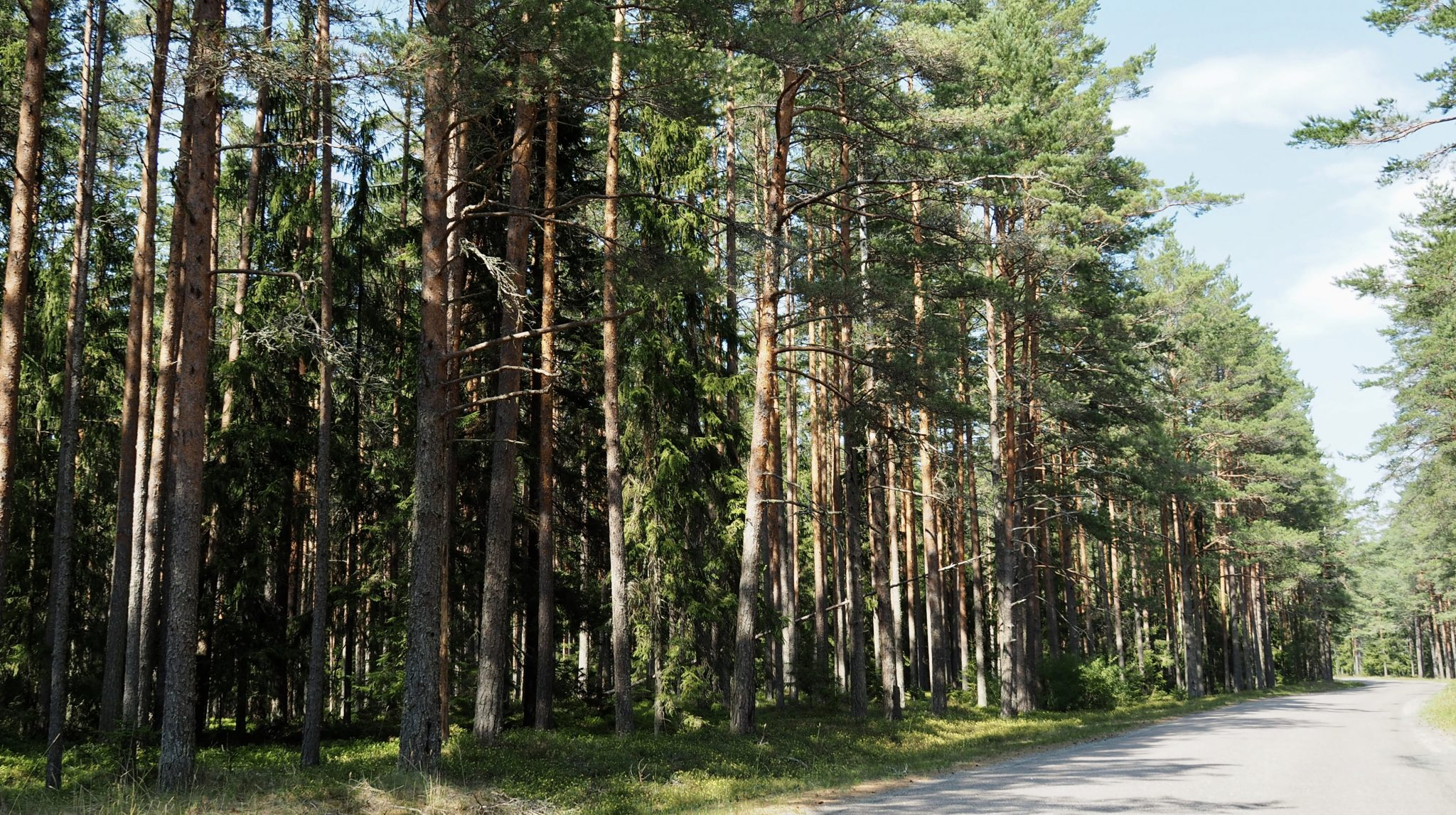 Laheema National Park Estonia