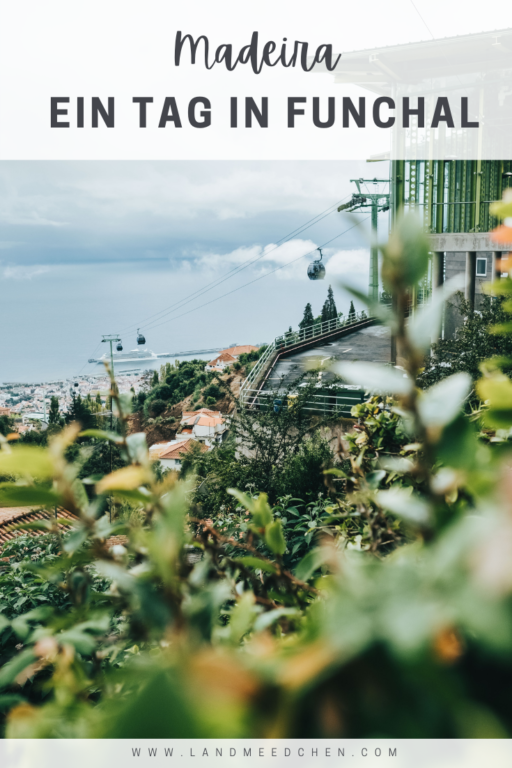 Ein Tag in Funchal Pinterest