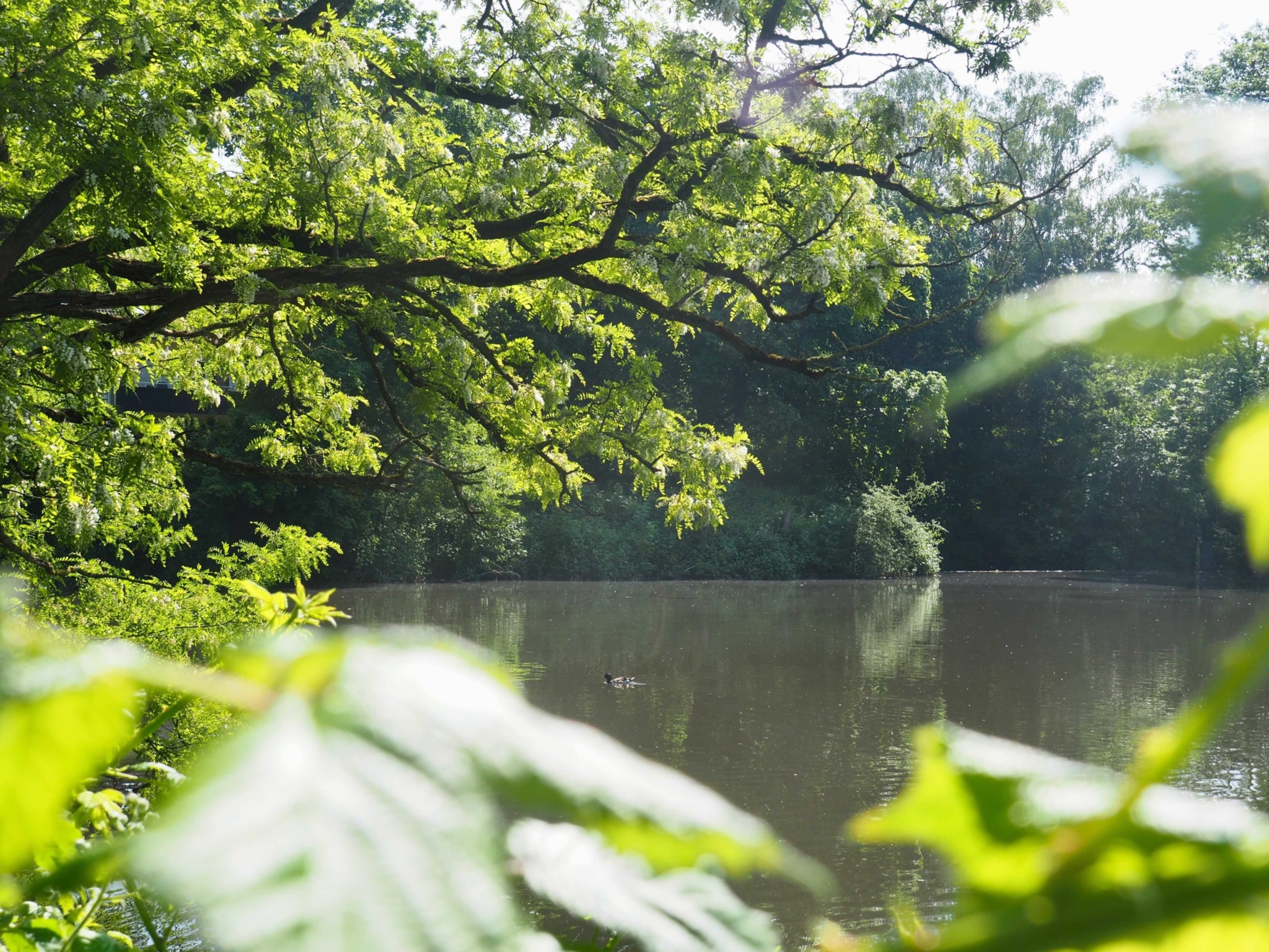 Stausee Bielefeld
