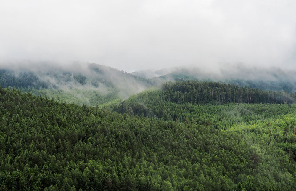 Rocher-de-Dabo-Aussicht-Kirchturm