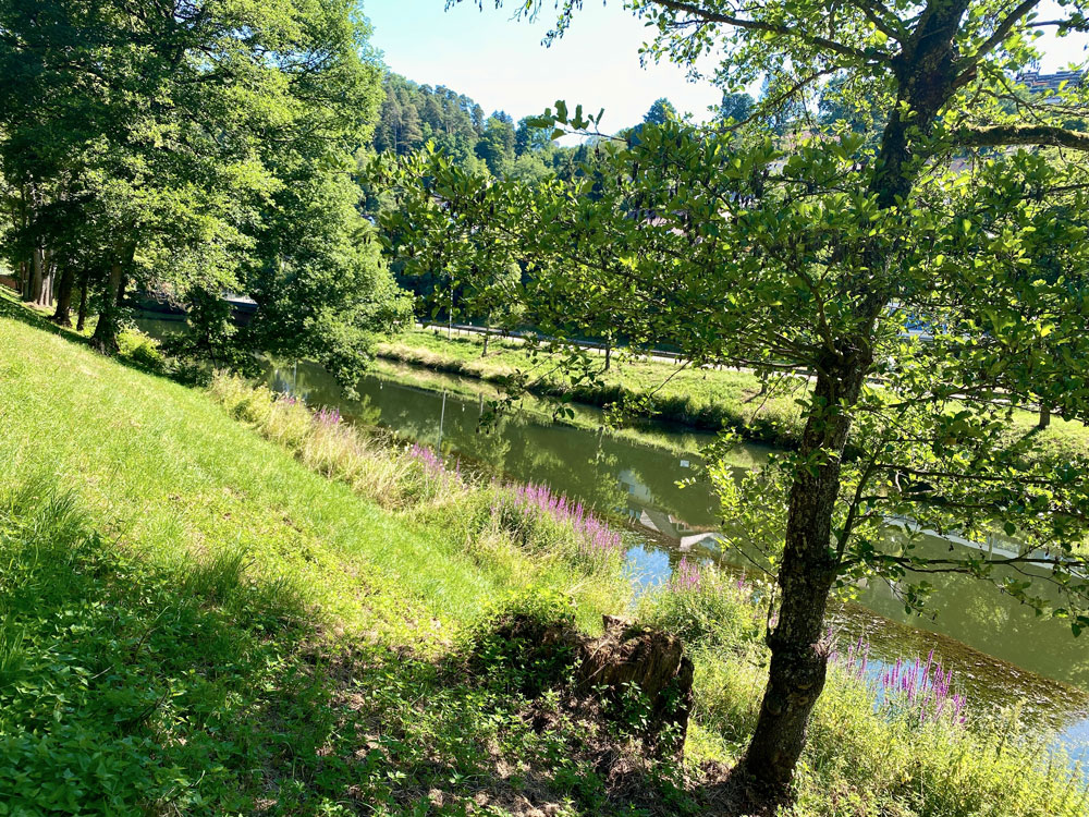 Nagold-Ufer-Wildberg