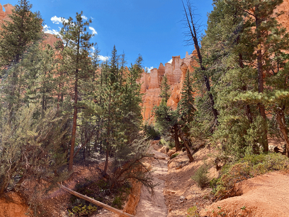 Bryce-Canyon-Valley