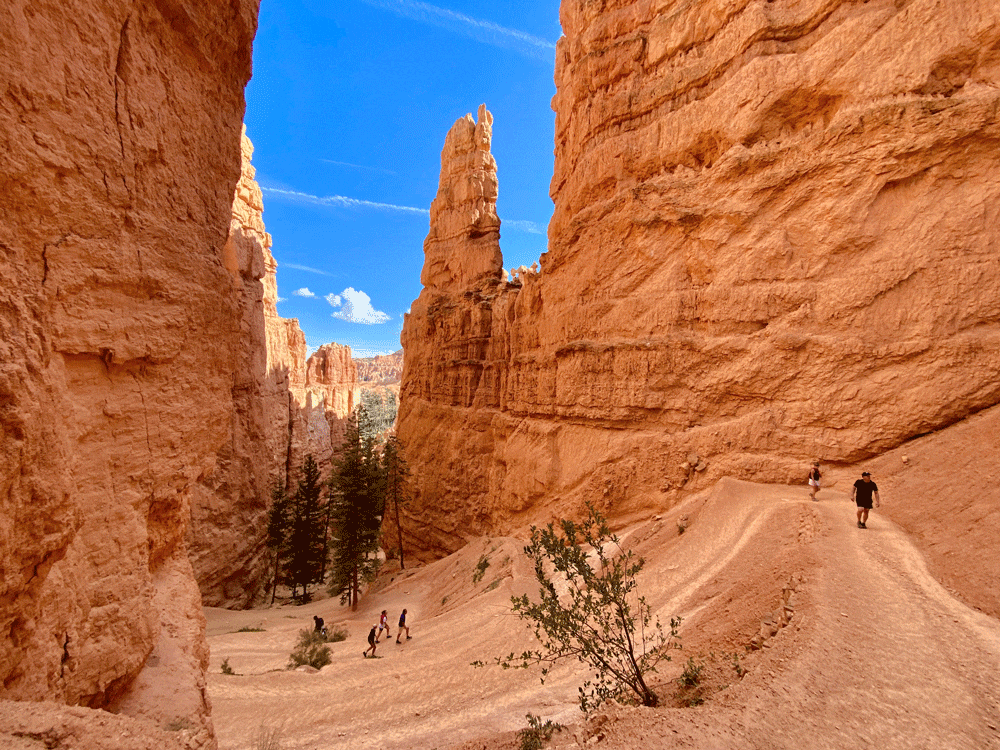 Navajo-Loop-Trail
