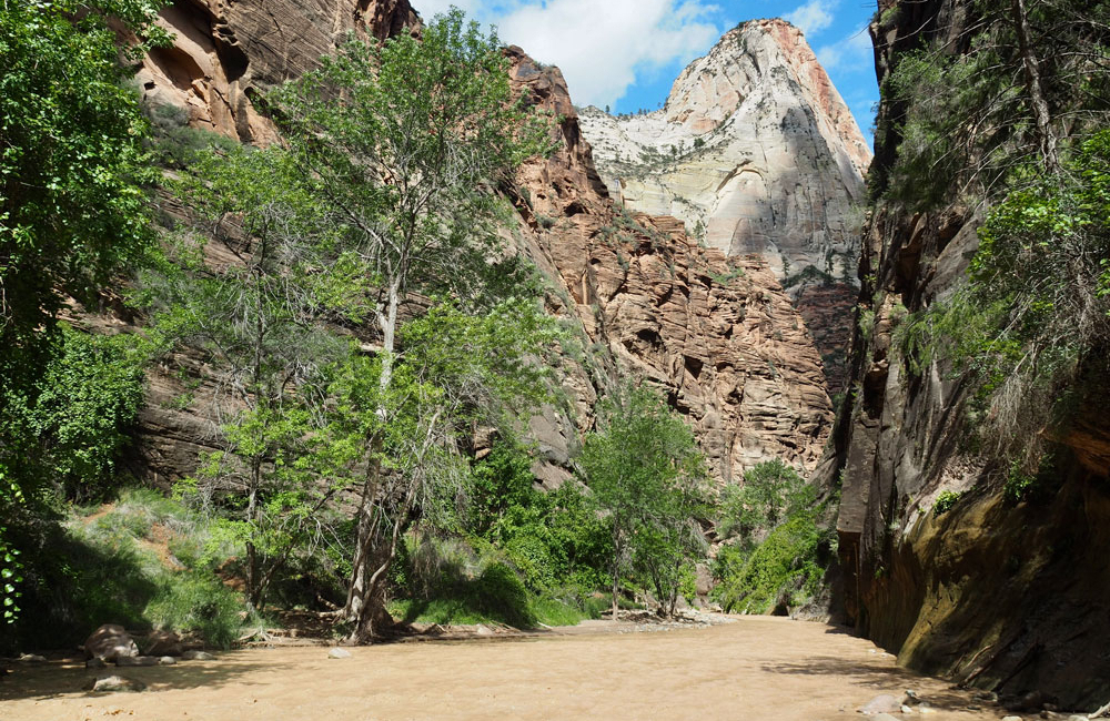 The-Narrows-Zion-National-Park