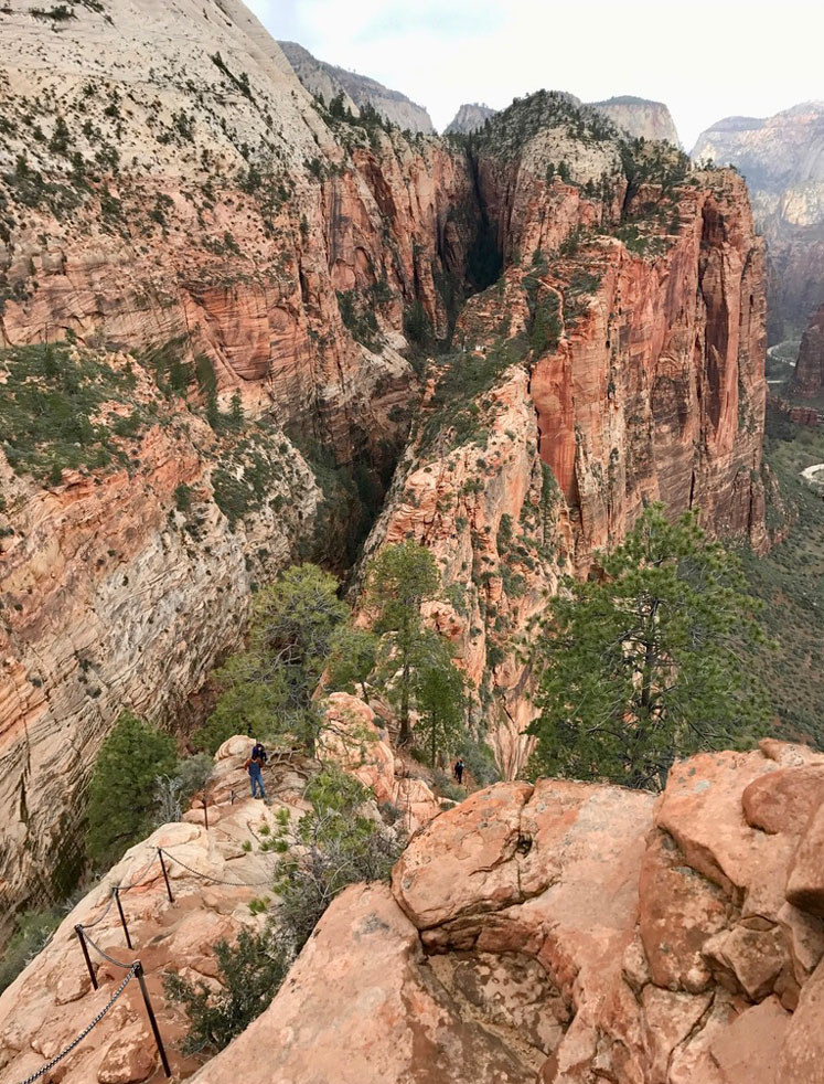 Angels-Landing-Rueckweg