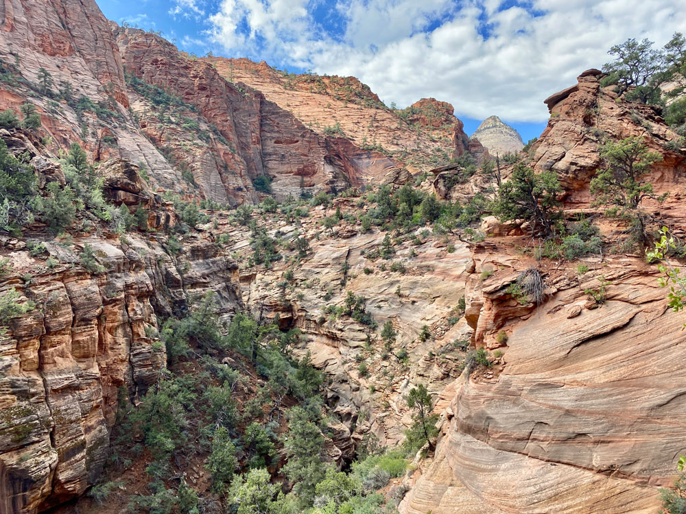 Canyon-Overlook-Trail-Zion-National-Park